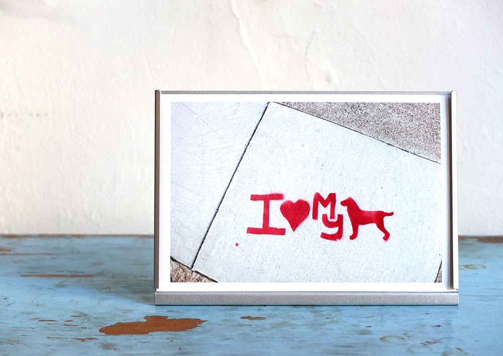 dog photo print etsy