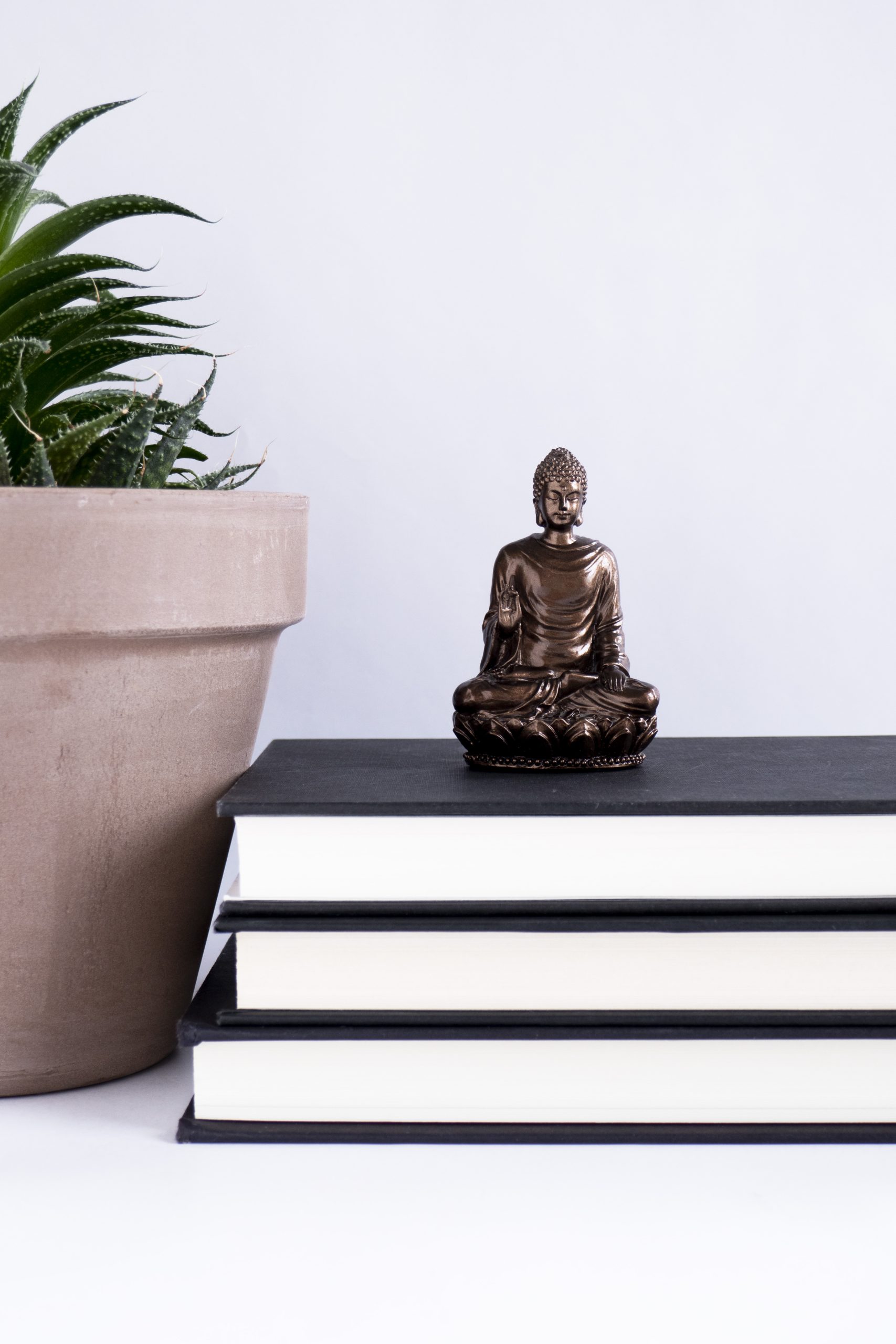 Small Buddha figurine on a stack of black books next to gray potted plant